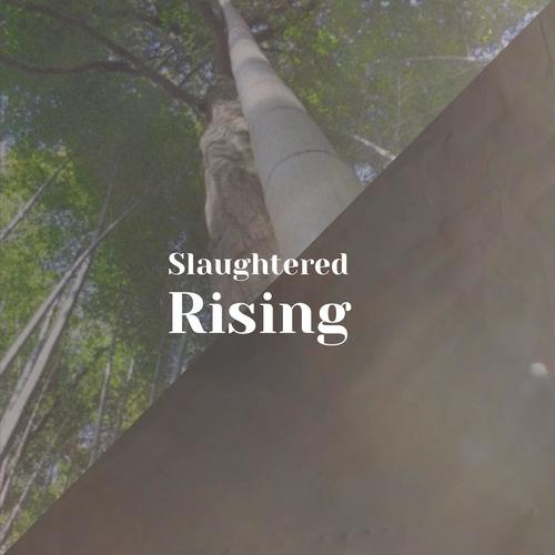 Slaughtered Rising