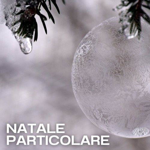 Natale particolare