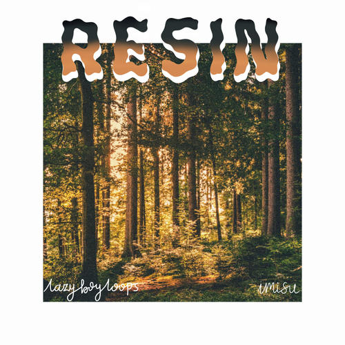 Resin