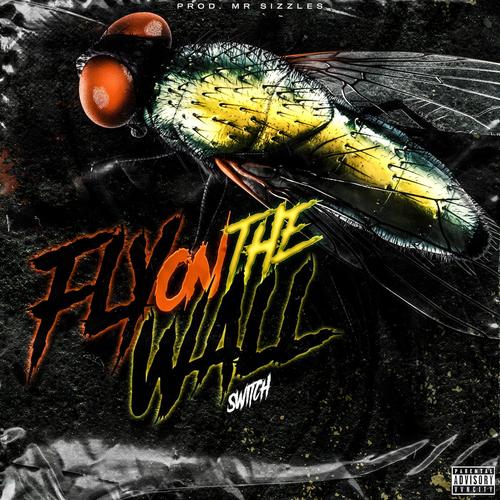 Fly On The Wall (Explicit)