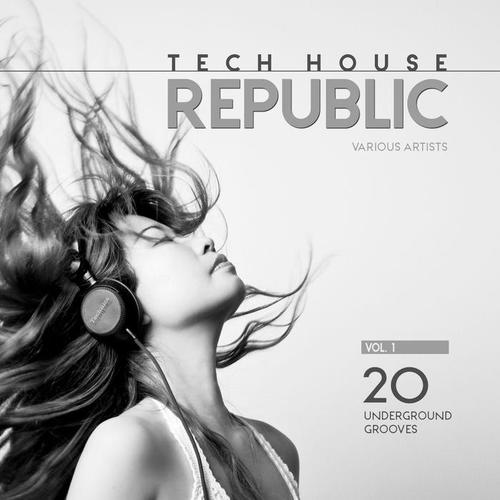 Tech House Republic (20 Underground Grooves) , Vol. 1