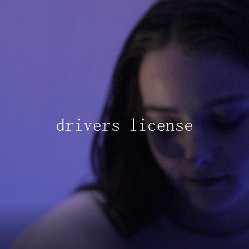 drivers license