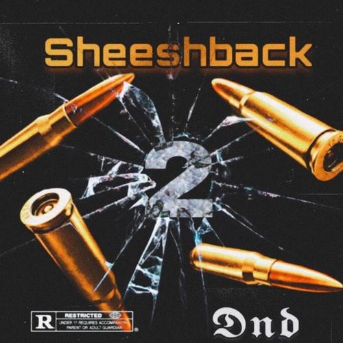 Sheeshback 2 (Explicit)