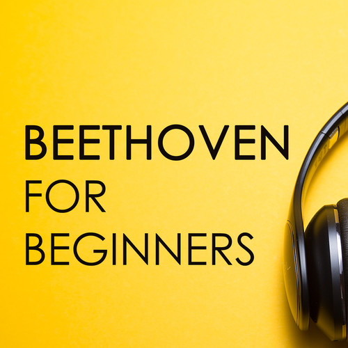 Beethoven for beginners