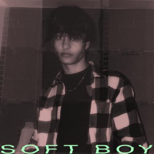 soft boy (Explicit)