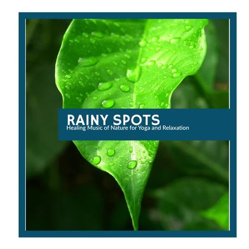 Rainy Spots - Healing Music of Nature for Yoga and Relaxation