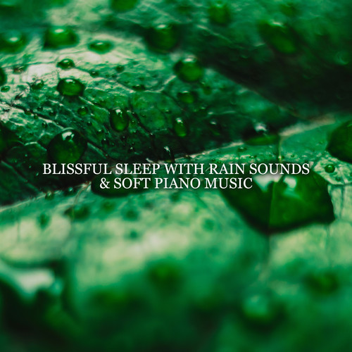 Blissful Sleep with Rain Sounds & Soft Piano Music – Dream Time Music, Piano Lullabies, Music for Deep Sleep, Tension Release, Tranquility, Healing Sounds of Rain