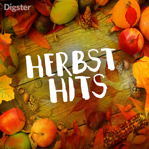 Herbst Hits 2022 (Explicit)