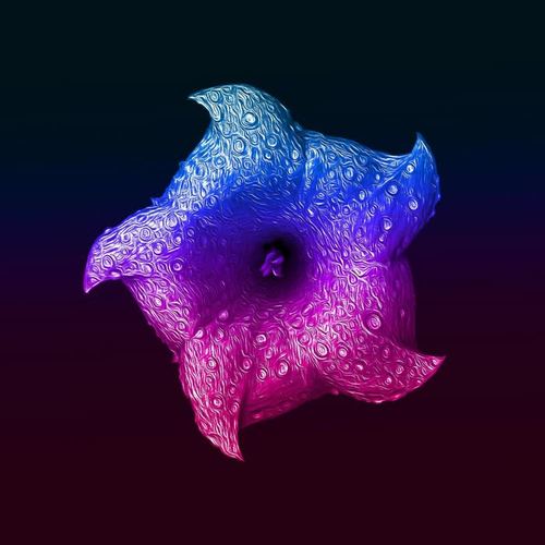 Moonflower Waltz (feat. Mandella Eskia)