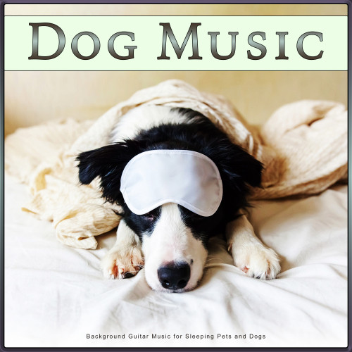 Dog Music: Background Guitar Music for Sleeping Pets and Dogs