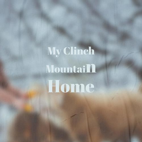 My Clinch Mountain Home