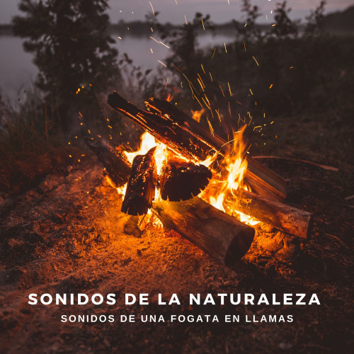 Sonidos De La Naturaleza: Sonidos De Una Fogata En Llamas