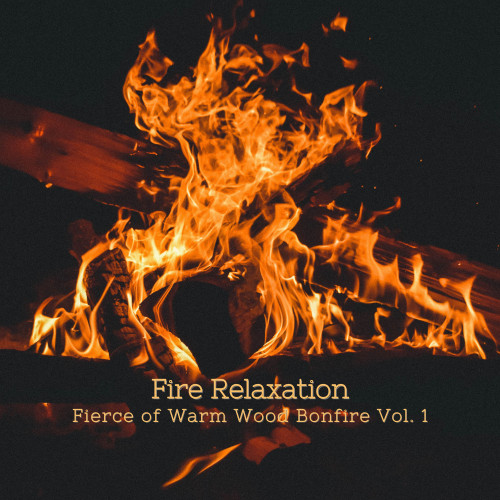 Fire Relaxation: Fierce of Warm Wood Bonfire Vol. 1