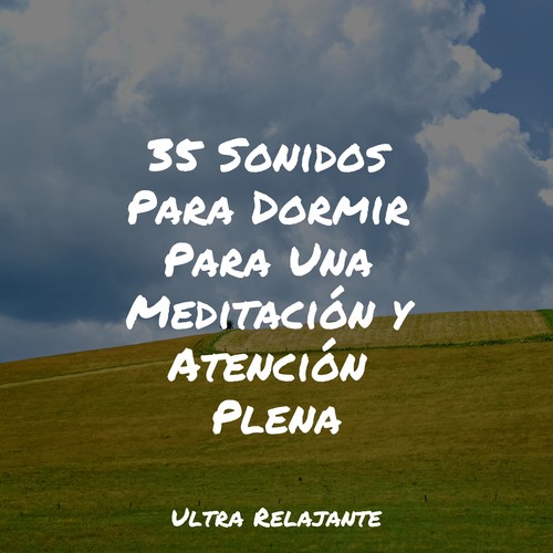 35 Sonidos Para Dormir Para Una Meditación y Atención Plena