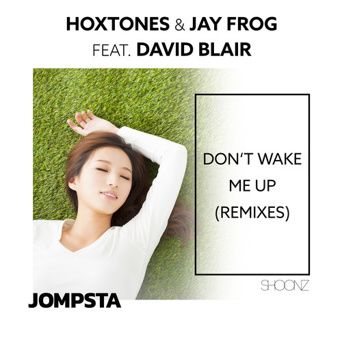 Don’t Wake Me Up (Remixes)