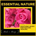 Essential Nature - Soothing Music For Nature Healing