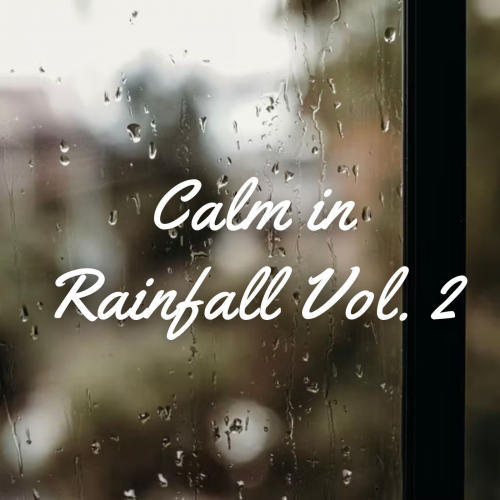 Calm in Rainfall Vol. 2 - 3 hours