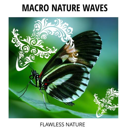 Macro Nature Waves - Flawless Nature