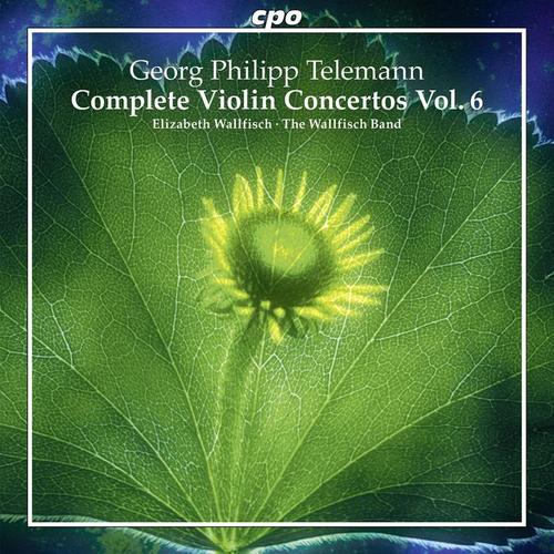 TELEMANN, G.P.: Violin Concertos (Complete) . Vol. 6 (Wallfisch, The Wallfisch Band)