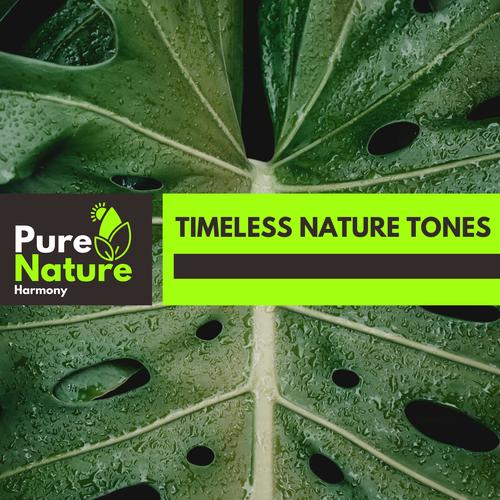 Timeless Nature Tones