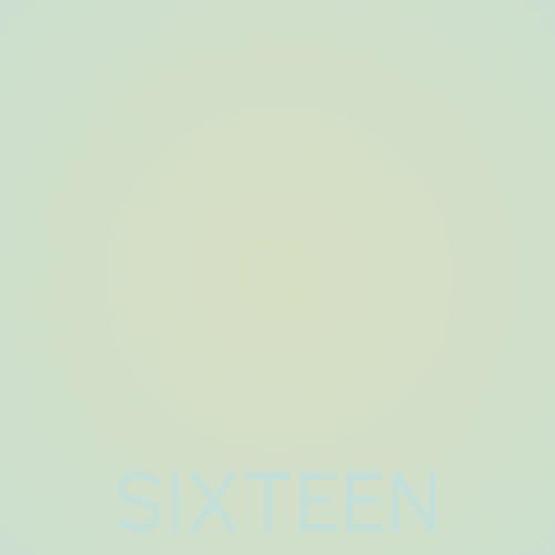 Sixteen