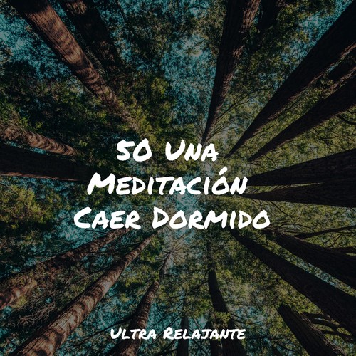 50 Una Meditación Caer Dormido