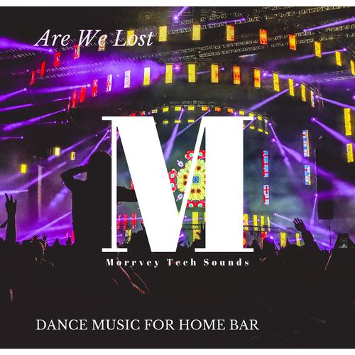 Are We Lost - Dance Music For Home Bar