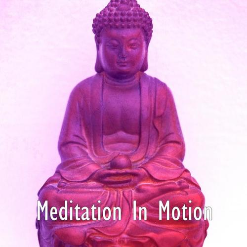 Meditation In Motion