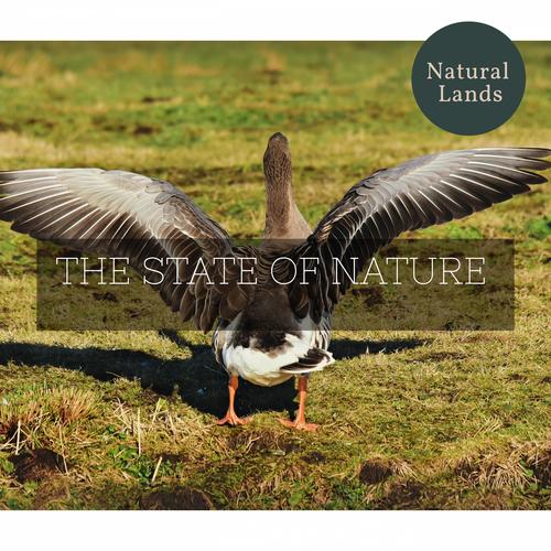 The State of Nature