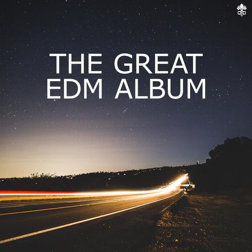 The Great EDM Album