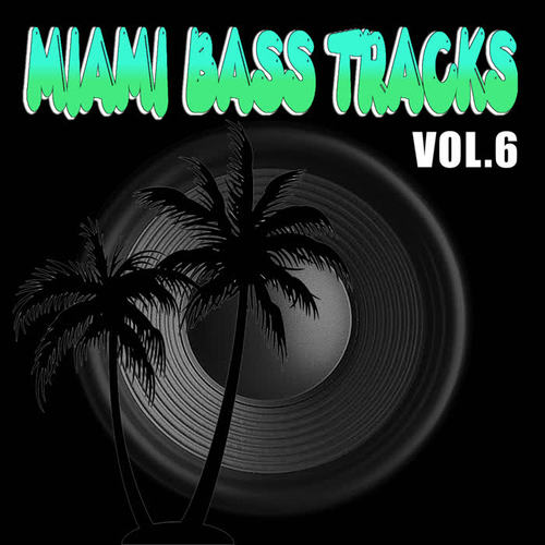 Miami Bass Tracks Vol.6 (Explicit)