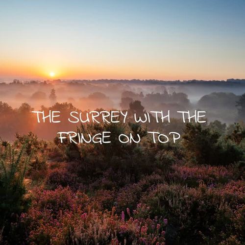 The Surrey with the Fringe on Top