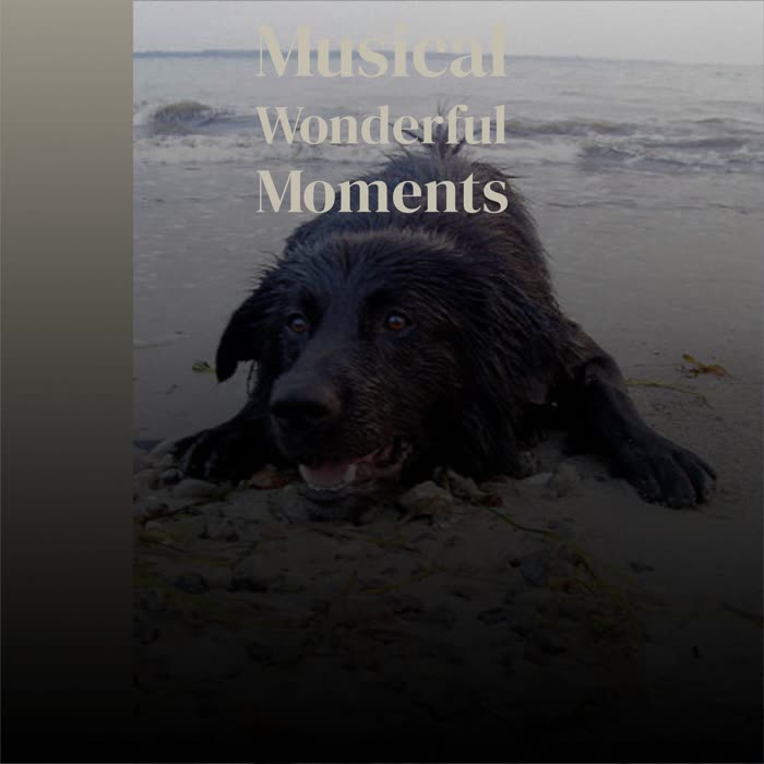 Musical Wonderful Moments