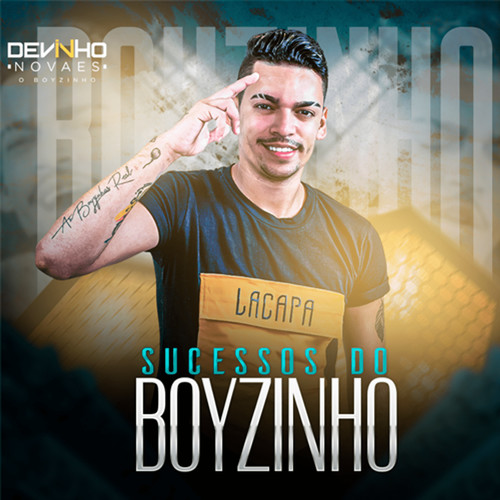 Sucessos do Boyzinho