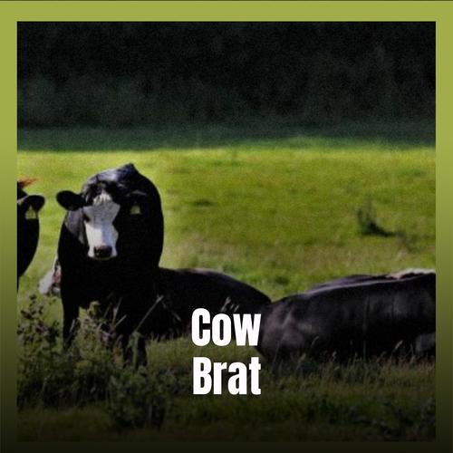 Cow Brat