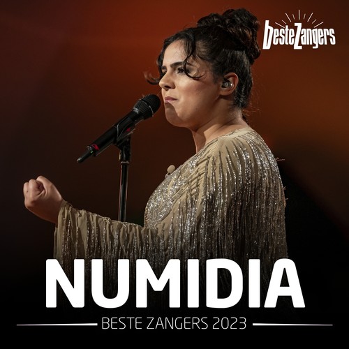 Beste Zangers 2023 (Numidia)