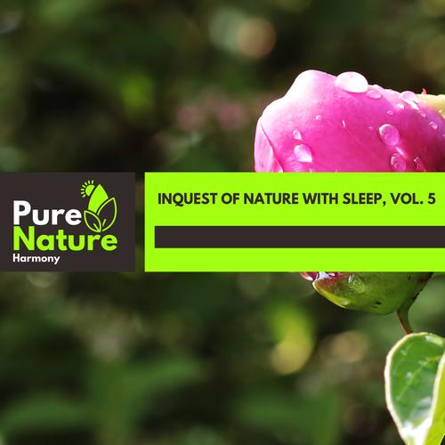 Inquest of Nature with Sleep, Vol. 5