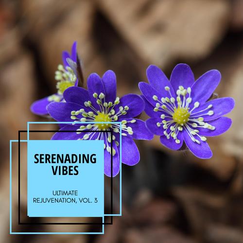 Serenading Vibes - Ultimate Rejuvenation, Vol. 3