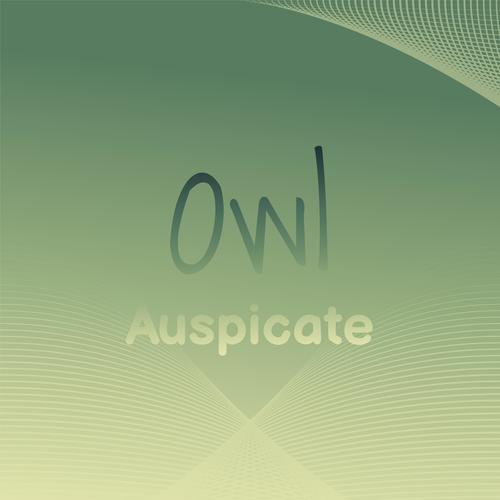 Owl Auspicate