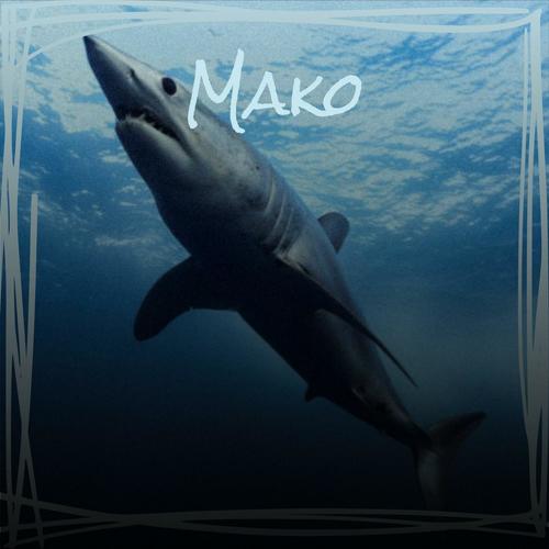 Mako