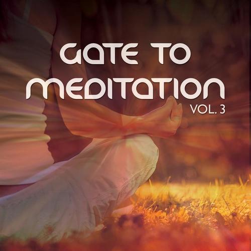 Gate To Meditation, Vol. 3 (Intensive Meditation & Relaxation Tunes)