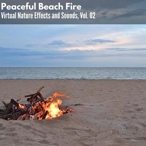 Peaceful Beach Fire - Virtual Nature Effects and Sounds, Vol. 02