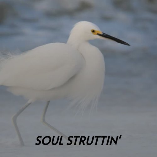 Soul Struttin' (Explicit)