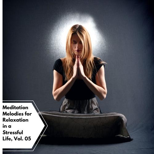 Meditation Melodies For Relaxation In A Stressful Life, Vol. 05