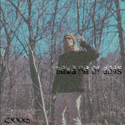 Beware Of Dogs (Explicit)