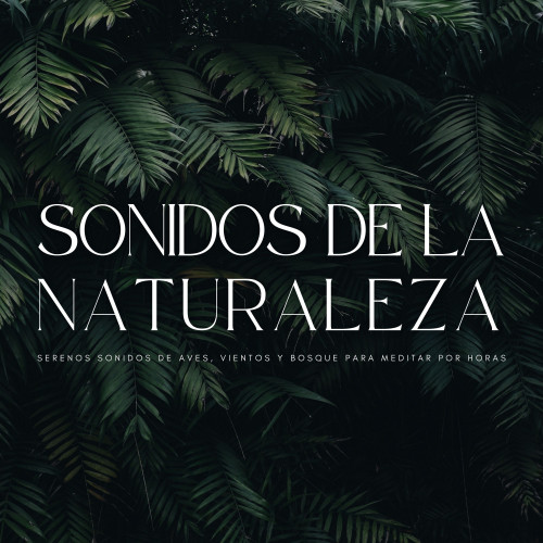 Sonidos De La Naturaleza: Serenos Sonidos De Aves, Vientos y Bosque Para Meditar Por Horas