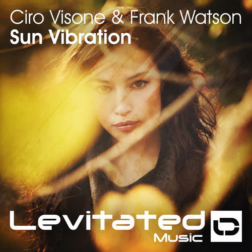 Sun Vibration