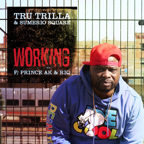 Working (feat. Prince Ak & RIQ) [Explicit]