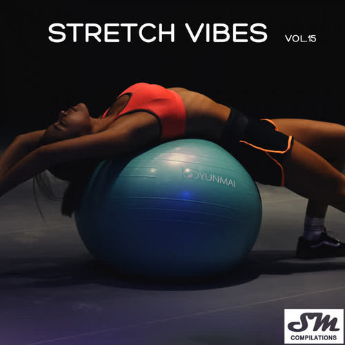 Stretch Vibes, Vol. 15