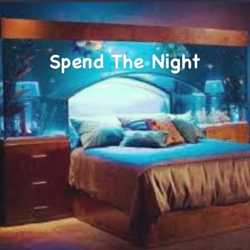 Spend the Night (Explicit)